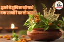 vastu tips for tulsi, tulsi plant vastu tips, tulsi vastu mistakes