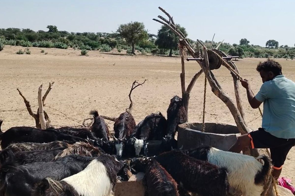 Jal Jeevan Mission falters in desert Toxic tap water hits Barmer-Balotra just 21 Percent work done in 5 years