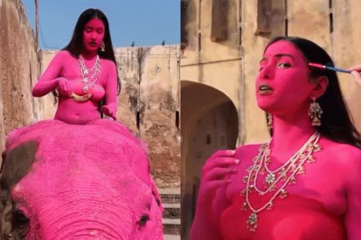 Jaipur Pink Elephant Photoshoot Sparks Outrage Animal Rights Concerns Rise Over Viral Shoot by Russian Photographer