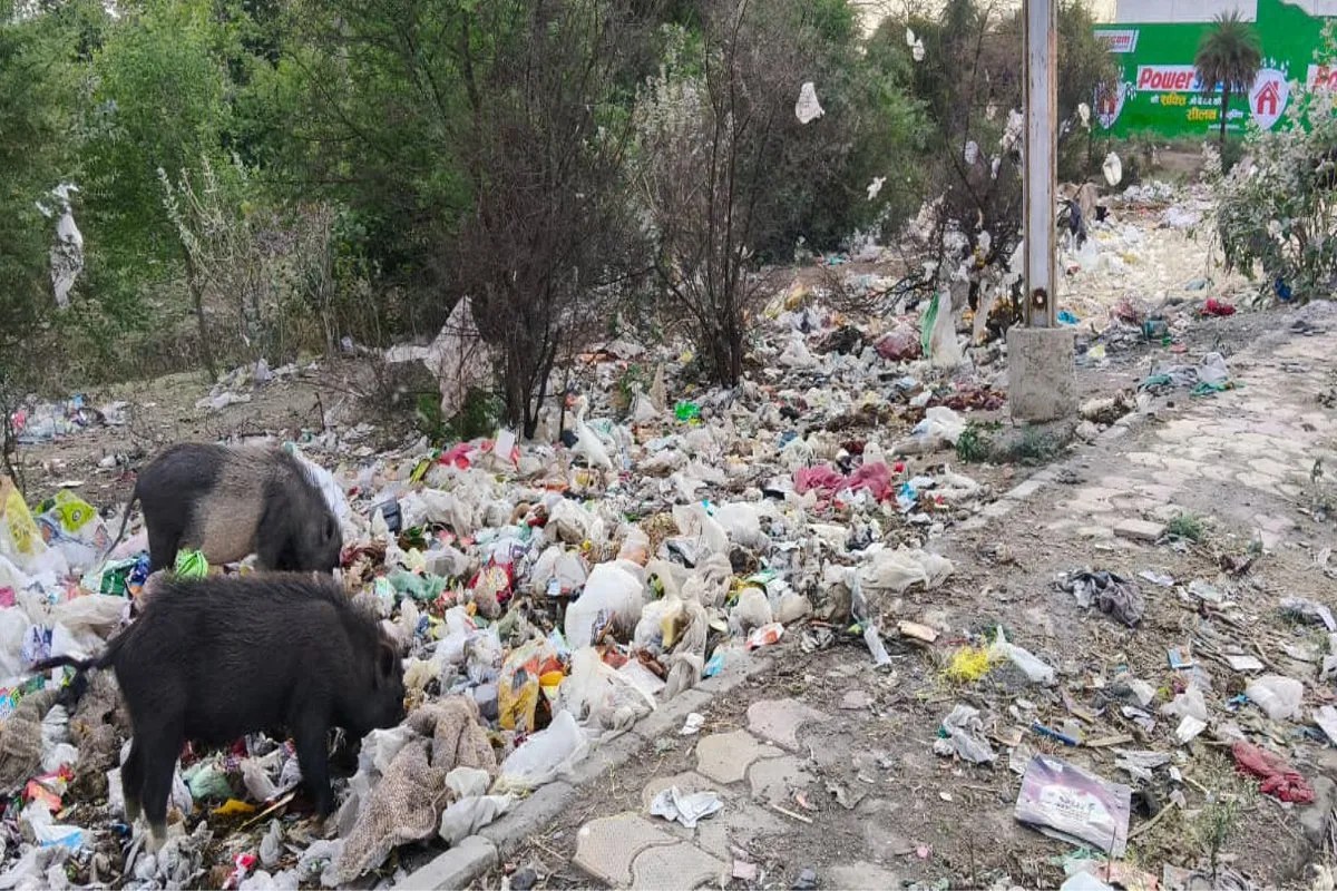 Lakhs of rupees are spent on cleaning every month, yet cleanliness is failing to return to normal, with heaps of garbage everywhere.