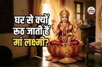 Vastu Tips Maa Lakshmi