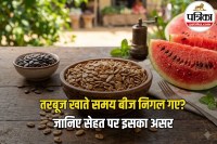 Watermelon Seeds Benefits