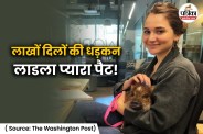 Global Celebrity Animal