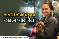 Global Celebrity Animal