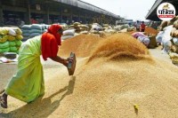 Wheat procurement target 2026-27