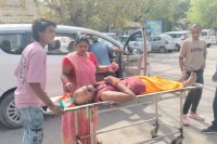 Bees Attack Devotees during Chaitra Navratri pooja in kali mata temple MP News