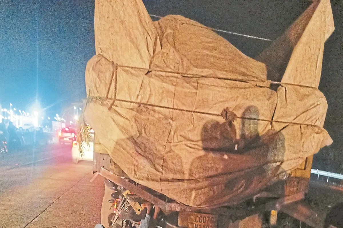 CG Accident: रात के अँधेरे में खड़ी ट्रक से मोटरसाइकिल टकराई, तीन युवकों की मौत