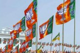 BJP flags