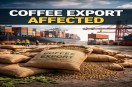 कॉफी निर्यात में बाधा