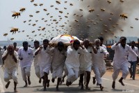 mp news Bees attack during funeral