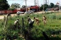 गांजे को लेकर कार्यवाही करती पुलिस, पत्रिका फोटो