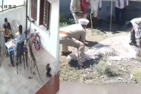 monkey attack Naib Tehsildar in badnawar dhar mp news