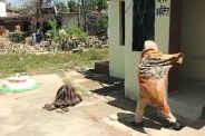 mp news Swarm of Bees Attack mentally ill woman police officer saved her rewa