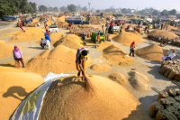 MP Farmers Attention