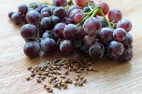 Grape seeds