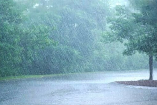 IMD issues Heavy Rain Alert