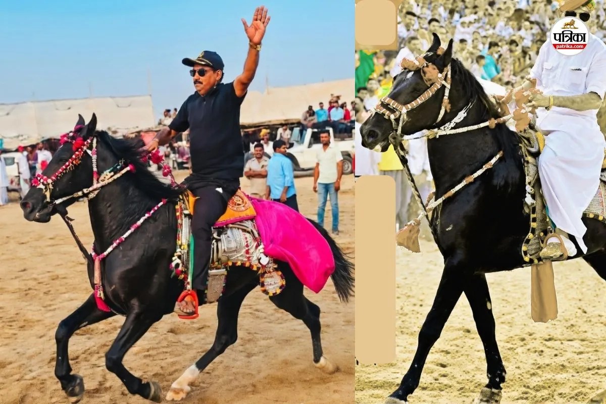 Barmer Tilwara Mela One crore rupees worth horse Shyam owner refused to sell You will be surprised to know specialties