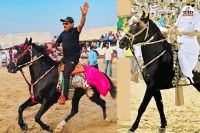 Barmer Tilwara Mela One crore rupees worth horse Shyam owner refused to sell You will be surprised to know specialties