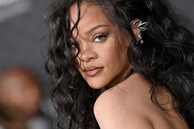 Singer Rihanna house firing In los Angeles