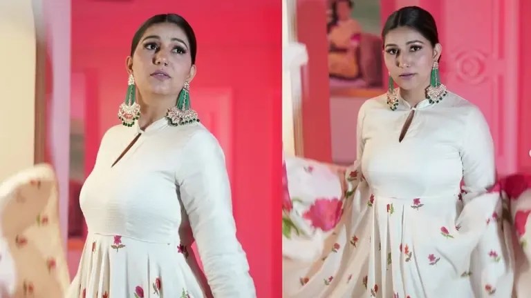 35 Case registered on Sapna Choudhary