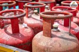 LPG Gas Cylinders shortage Only One and a Half Days Stock Remaining in gwalior mp news