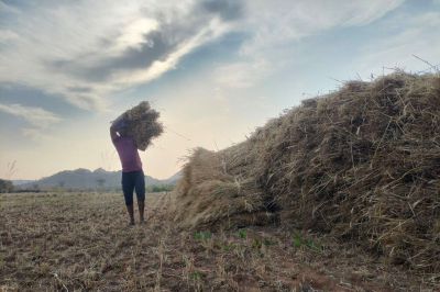 Short video poster image