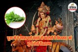 Chaitra Navratri 2026, Navratri upay, Tulsi upay, Navratri Tulsi remedy