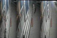 molestation, molestation of girl, molestation of girl in Rajasthan, molestation of girl in Jalore, molestation of girl in Sanchore, Jalore crime news