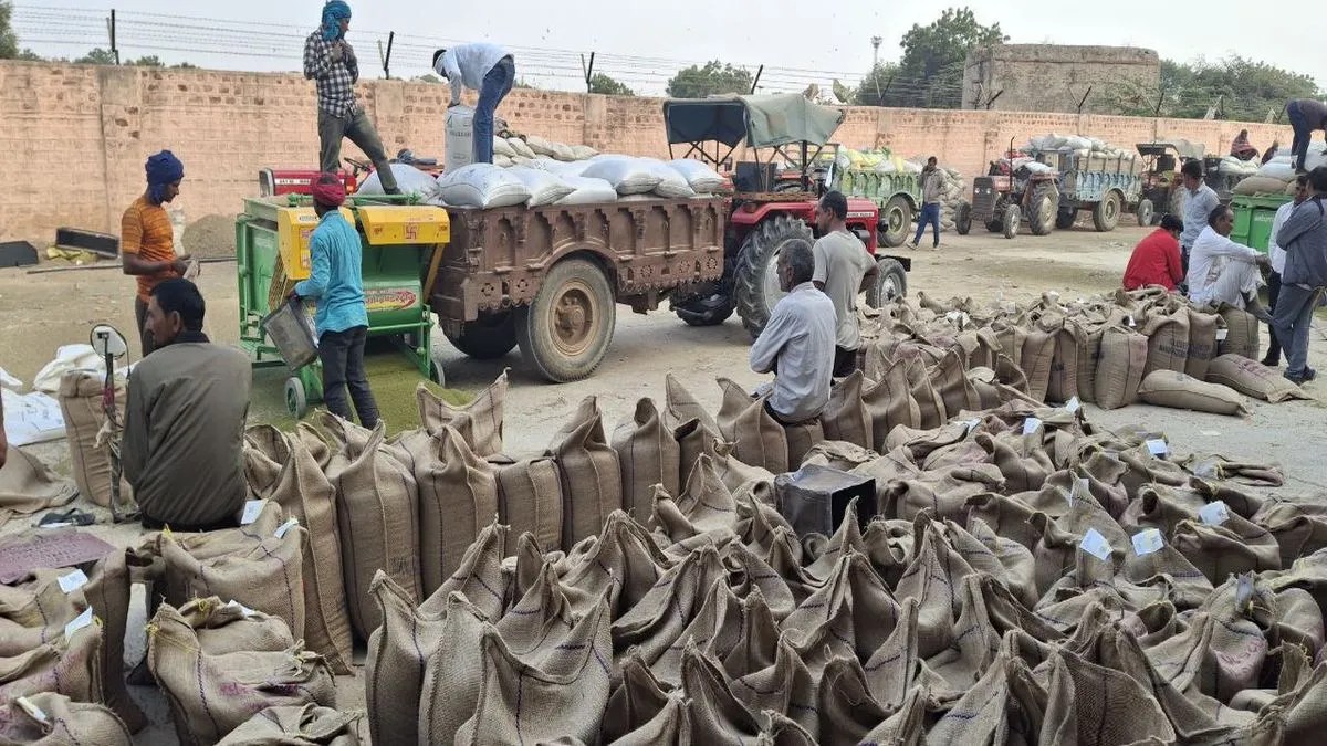 मूंग की एमएसपी पर खरीद