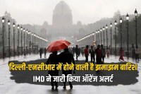 delhi ncr weather update march 20 orange alert noida ghaziabad rain flight diverted