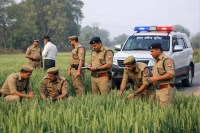 सांकेतिक तस्वीर फोटो जेनरेट AI