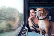 ट्रेन में डॉग्स (फोटो सोर्स- iStock)
