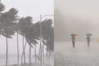 With the arrival of pre-monsoon, an orange alert has been issued for rain, hailstorm and storm from today for the next several days