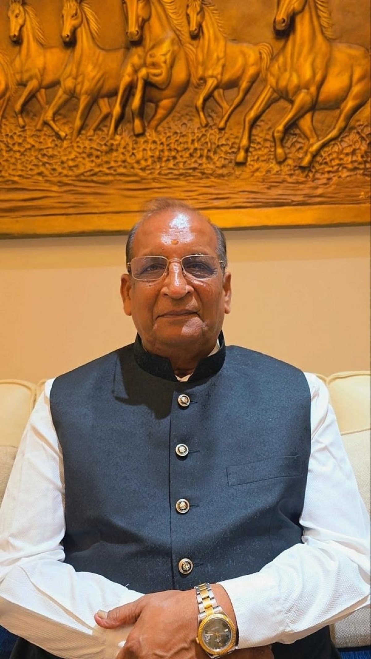 रमणलाल डी. सिंघानिया