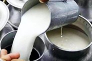 Milk