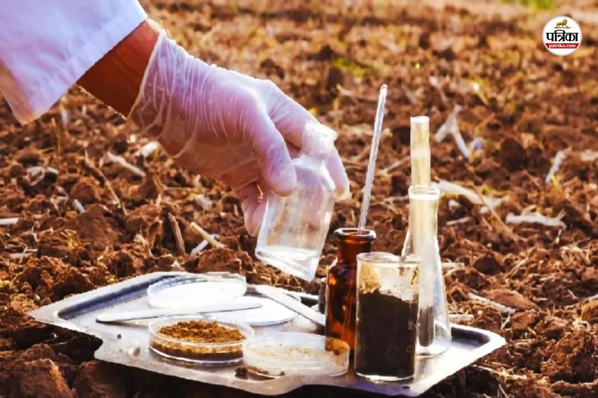 Rajasthan Jhalawar farmers Good news Get your farm soil tested for just 5 rupees