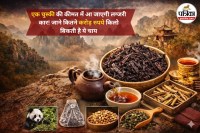 9 करोड़ की चाय