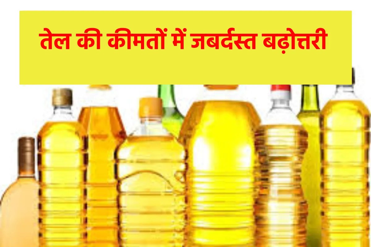 Soy Oil Becomes More Expensive in Indore Due to Global Price Surge