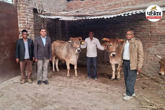 बैल प्रोत्साहन योजना