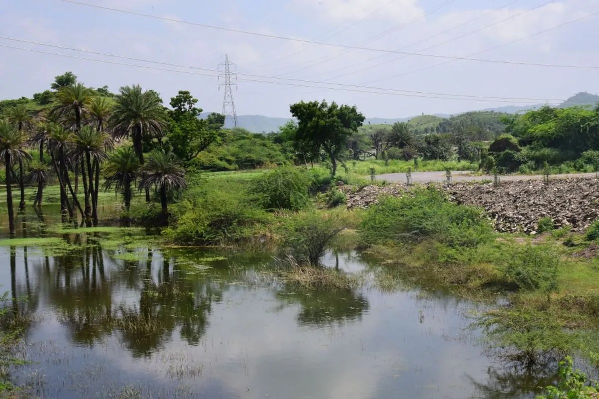 अब तक मुख्य पर्यटन मानचित्र से दूर रहे तालाब, डेम, कुएं और बावड़ियां जल्द ही नए रूप में नजर आएंगे, इससे पर्यटकों को शहर के बाहर भी शांत, प्राकृतिक और विरासत से जुड़ा अनुभव मिलेगा।