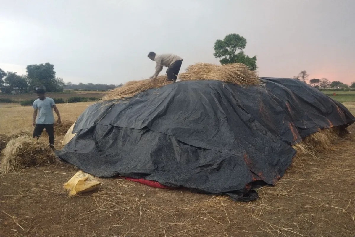शनिवार की सुबह और शाम को गरज-चमक के साथ कई स्थानों पर बारिश हुई। वहीं गाडरवारा तहसील के ग्राम बसुरिया व बरेली कठौतिया, पलेरा, रहमा, बेलखेड़ी, बैरागढ़, पोड़ी में बारिश के साथ ओलावृष्टि हुई।