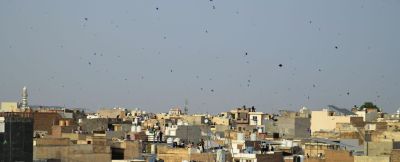 Short video poster image