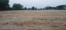 stubble fires,