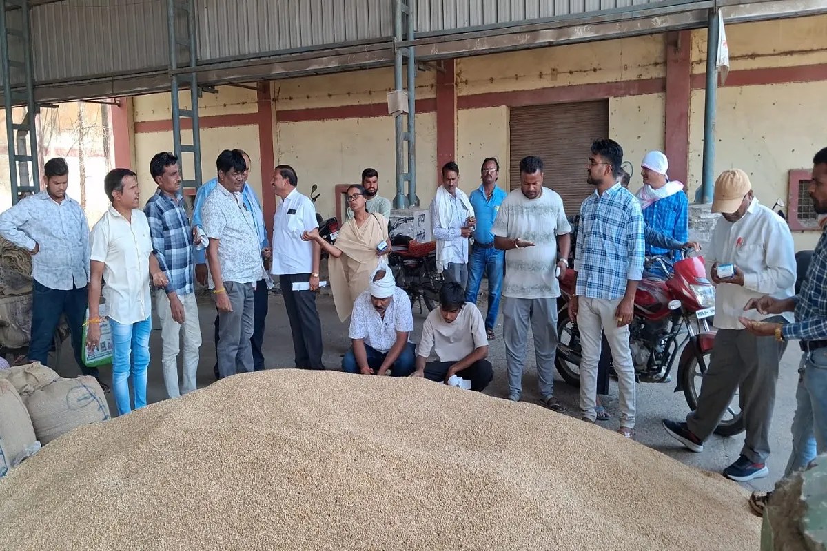 कृषि उपज मंडी नरसिंहपुर में इन दिनों अनाज की आवक अधिक हो रही है लेकिन उठाव की स्थिति बेहद खराब है। किसान खुले में अनाज के ढेर लगाने और धूप में खड़े होकर उपज की सुरक्षा करने, बोली लगवाने लाचार हैं।