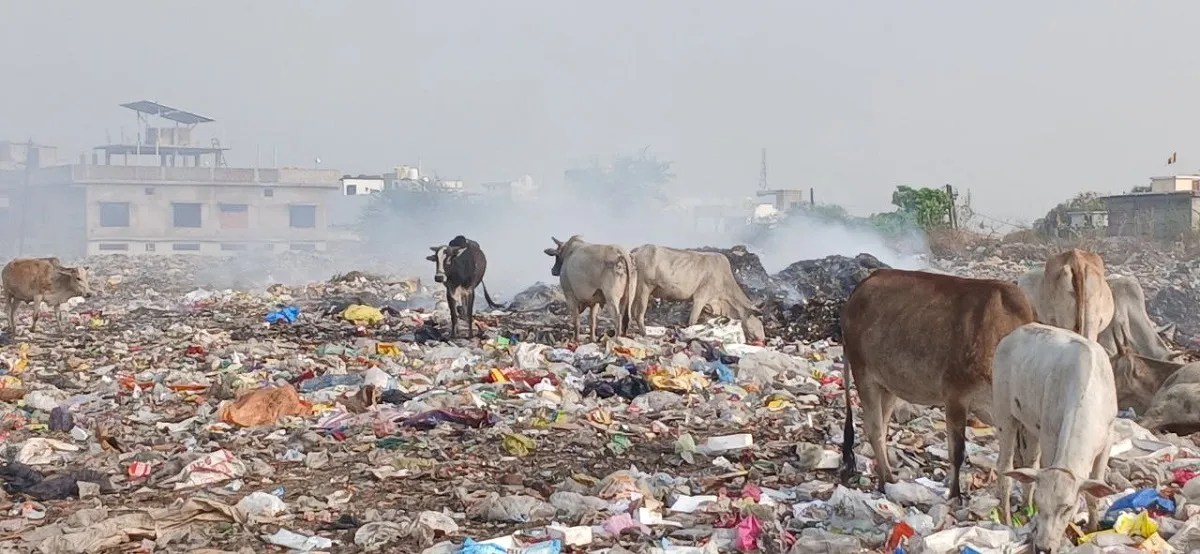 Smoke from garbage fires is increasing health risks