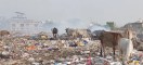 Smoke from garbage fires is increasing health risks