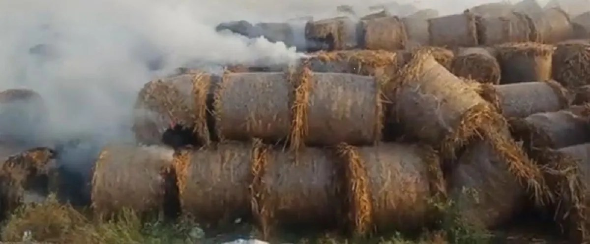 Piles of biofuel lying