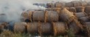 Piles of biofuel lying