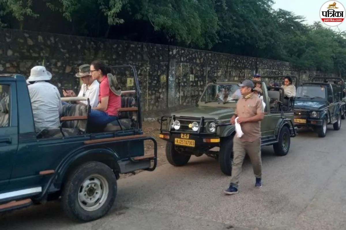 Ranthambore Safari Rates Hike Tigers to Cost More from Today Check New Gypsy and Canter Prices Here