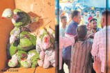 वन विभाग की टीम पर हमला (photo source- Patrika)